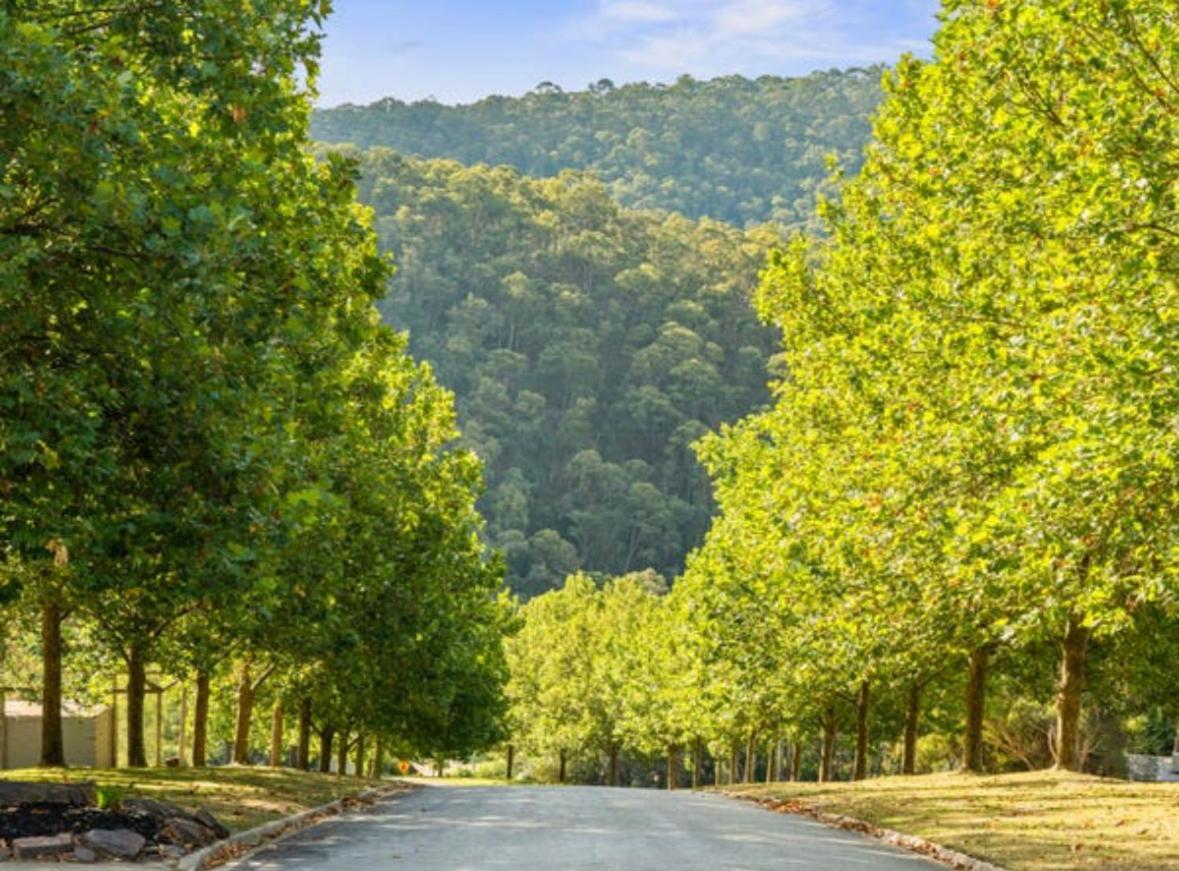 Mt Buller Stayz Merrijig Exterior foto